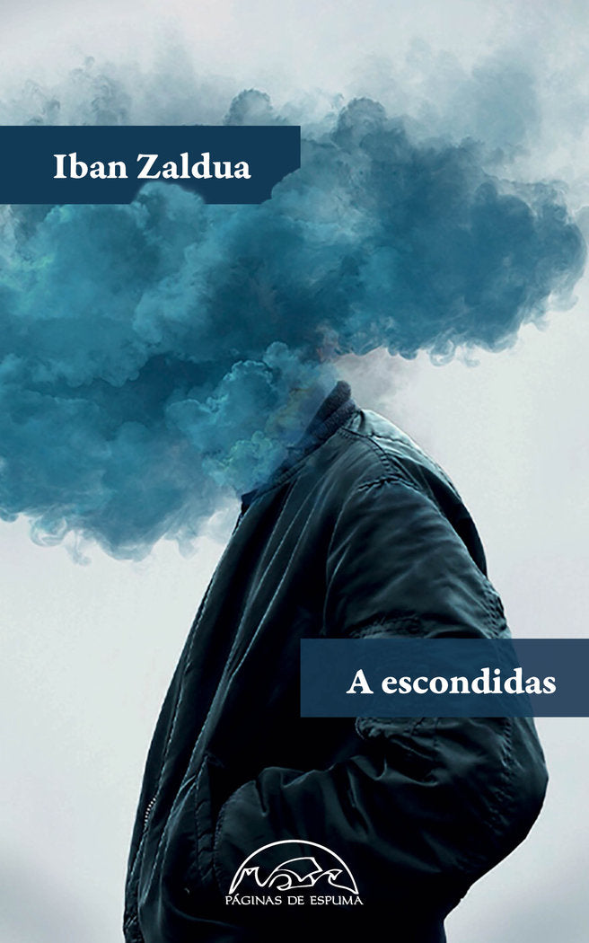 A escondidas, de ZALDUA, IBAN | portada del libro