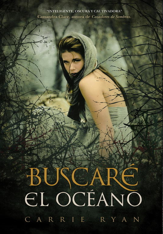 Buscaré el océano, de RYAN | portada del libro