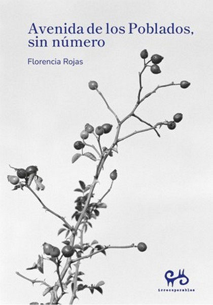 AVENIDA DE LOS POBLADOS SIN NUMERO, de FLORENCIA ROJAS | portada del libro