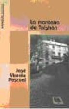 MONTAÑA DE TAISHAN, de VICENTE PASCUAL | portada del libro