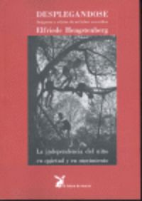 DESPLEGANDOSE, de HENGSTENBERG | portada del libro