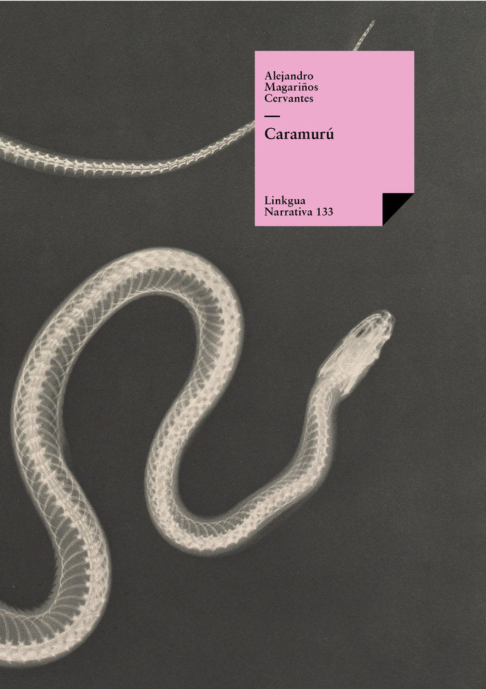 Caramurú, de Magariños Cervantes, Alejandro | portada del libro