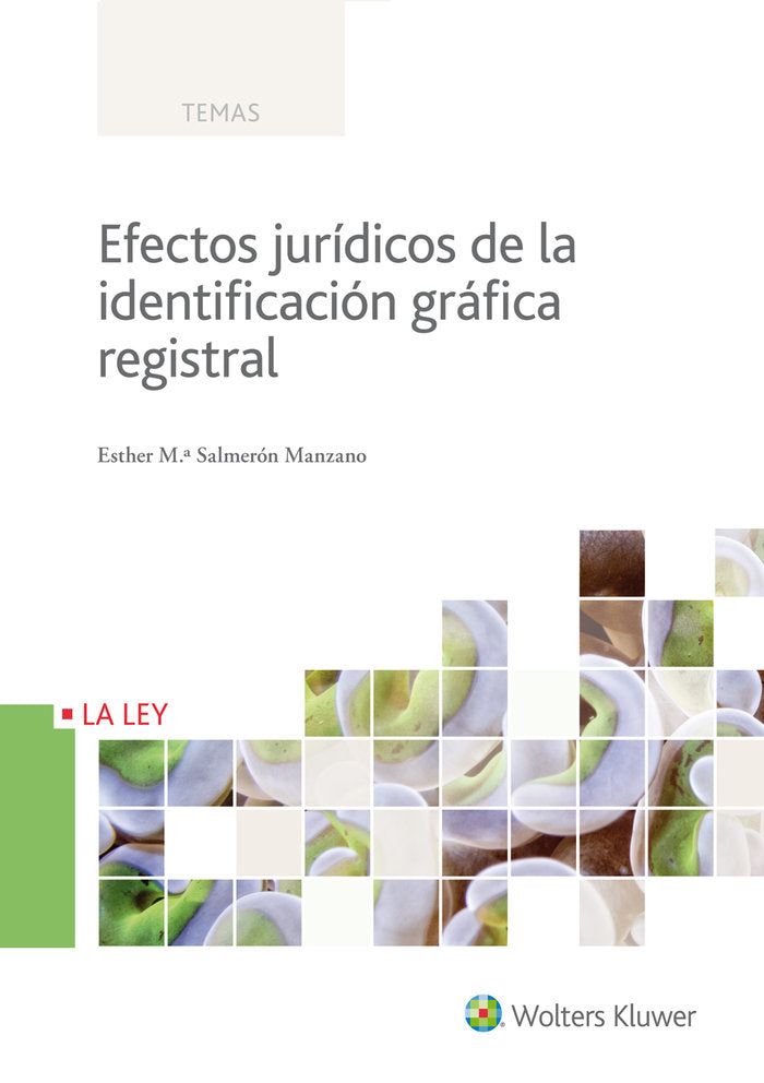 Efectos jurídicos de la identificación gráfica registral, de Salmerón Manzano, Esther Mª | portada del libro