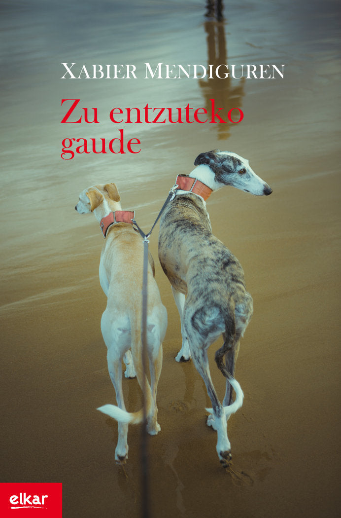 Zu entzuteko gaude, de Mendiguren Elizegi, Xabier | portada del libro
