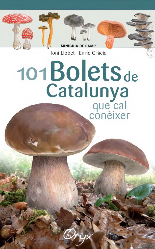 101 bolets de Catalunya, de Llobet François, Toni | portada del libro