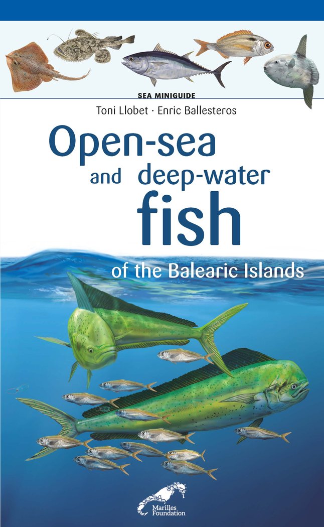 Open-sea and deep-water fish of the Balearic Islands, de Ballesteros Sagarra, Enric | portada del libro