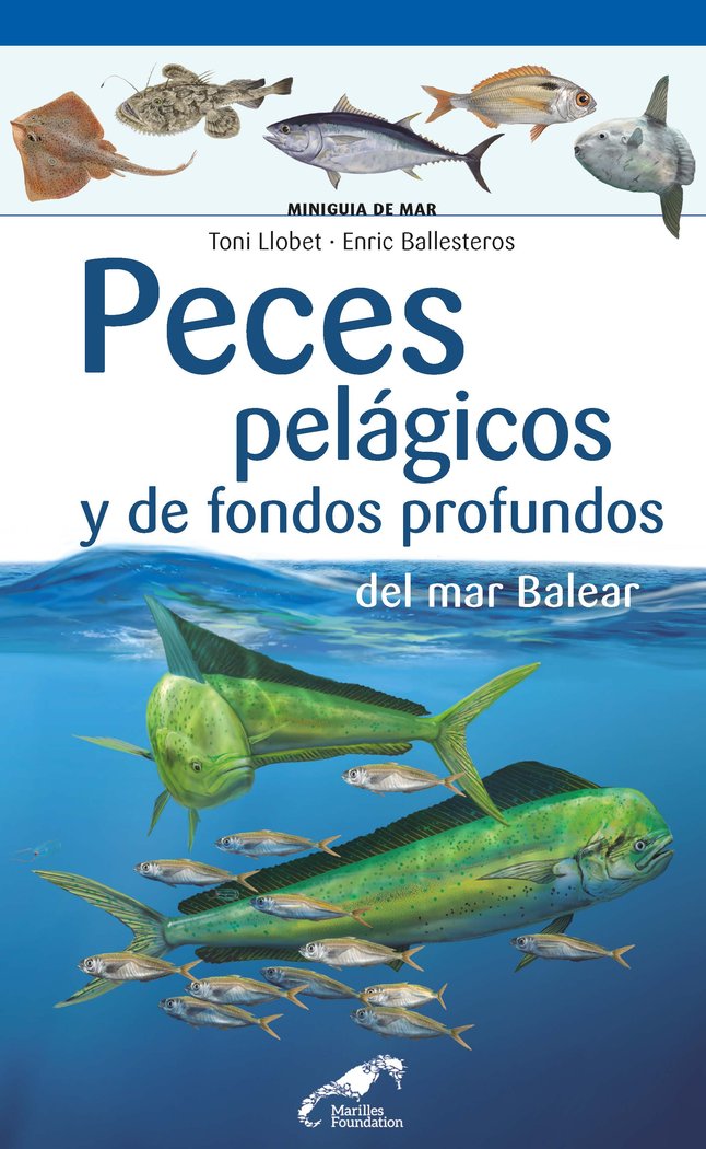 Peces pelágicos y de fondos profundos del mar Balear, de Ballesteros Sagarra, Enric | portada del libro