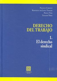 Derecho del Trabajo 1, de Carinci y otros, Franco | portada del libro