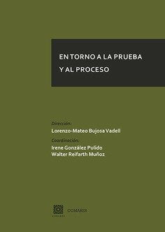 En torno a la prueba y al proceso, de VV.AA. | portada del libro