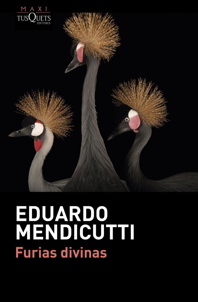 Furias divinas, de Mendicutti, Eduardo | portada del libro