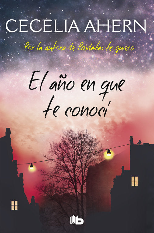 El año en que te conocí, de Ahern, Cecelia | portada del libro