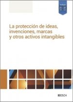 LA PROTECCION DE IDEAS,INVENCIONES,MARCAS Y OTROS ACTIVOS INTANGIBLES, de REDACCION LA LEY | portada del libro