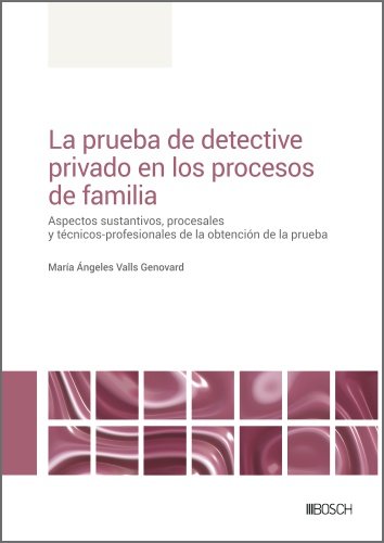 LA PRUEBA DE DETECTIVE PRIVADO EN LOS PROCESOS DE FAMILIA | portada del libro