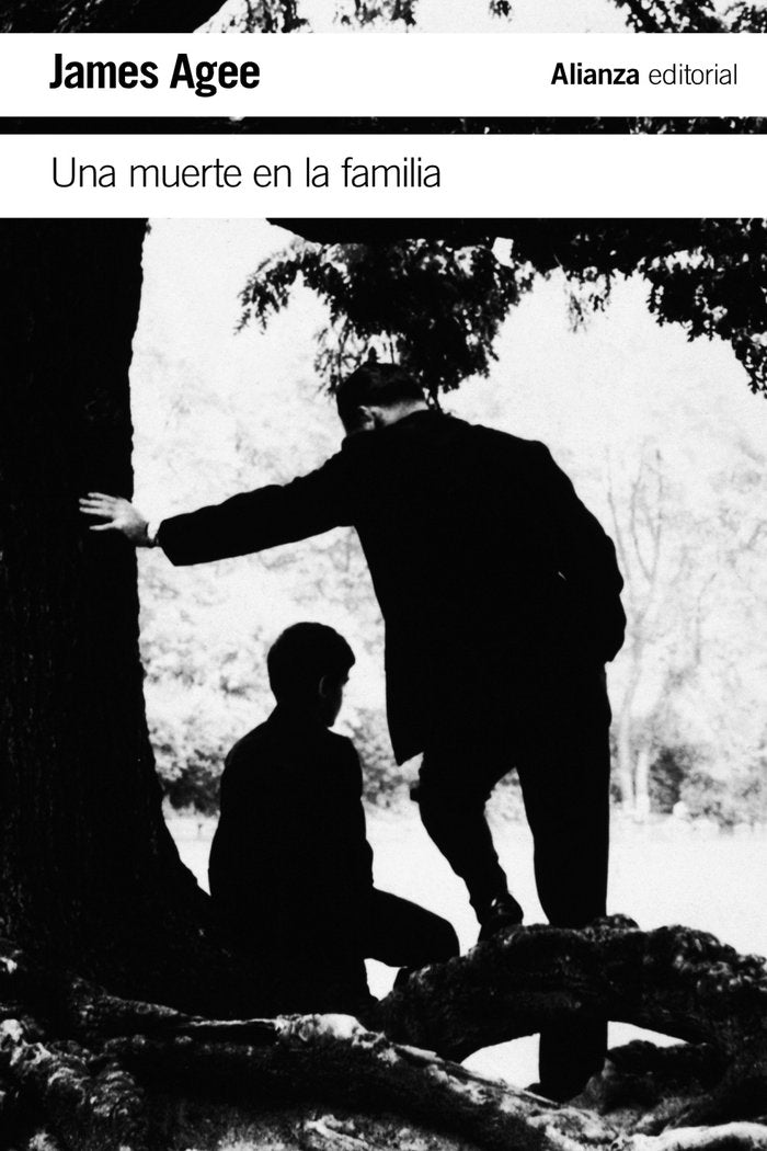 Una muerte en la familia, de Agee, James | portada del libro