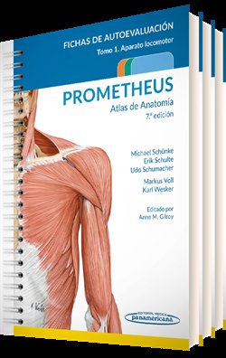 PROMETHEUS ATLAS DE ANATOMIA, de PROMETHEUS | portada del libro