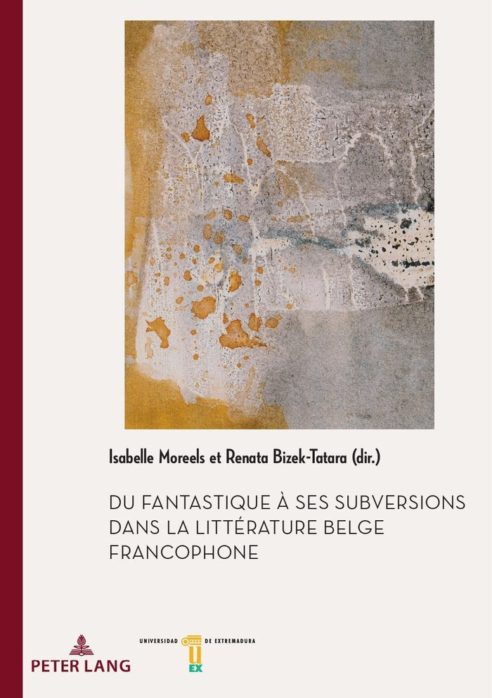 DU FANTASTIQUE A SES SUBVERSIONS DANS LA LITTERATURE BELGE F | portada del libro