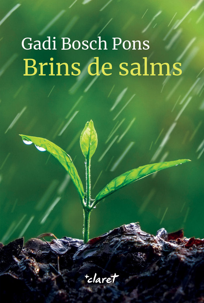 Brins de salms, de BOSCH PONS, GADI | portada del libro