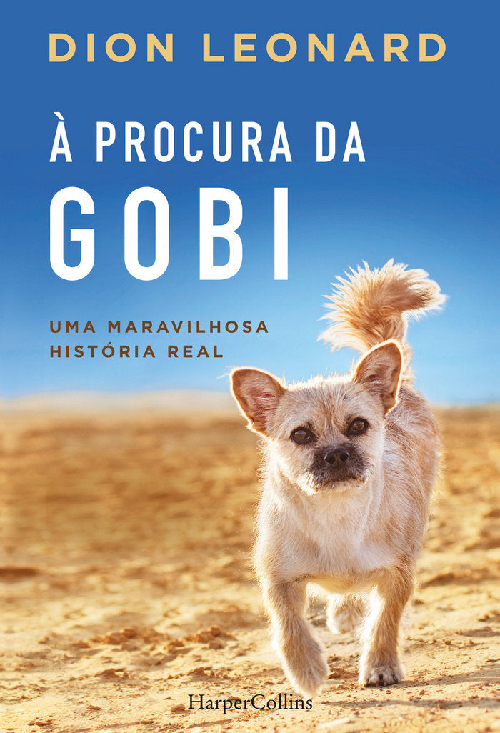 À procura da Gobi, de LEONARD, DION | portada del libro