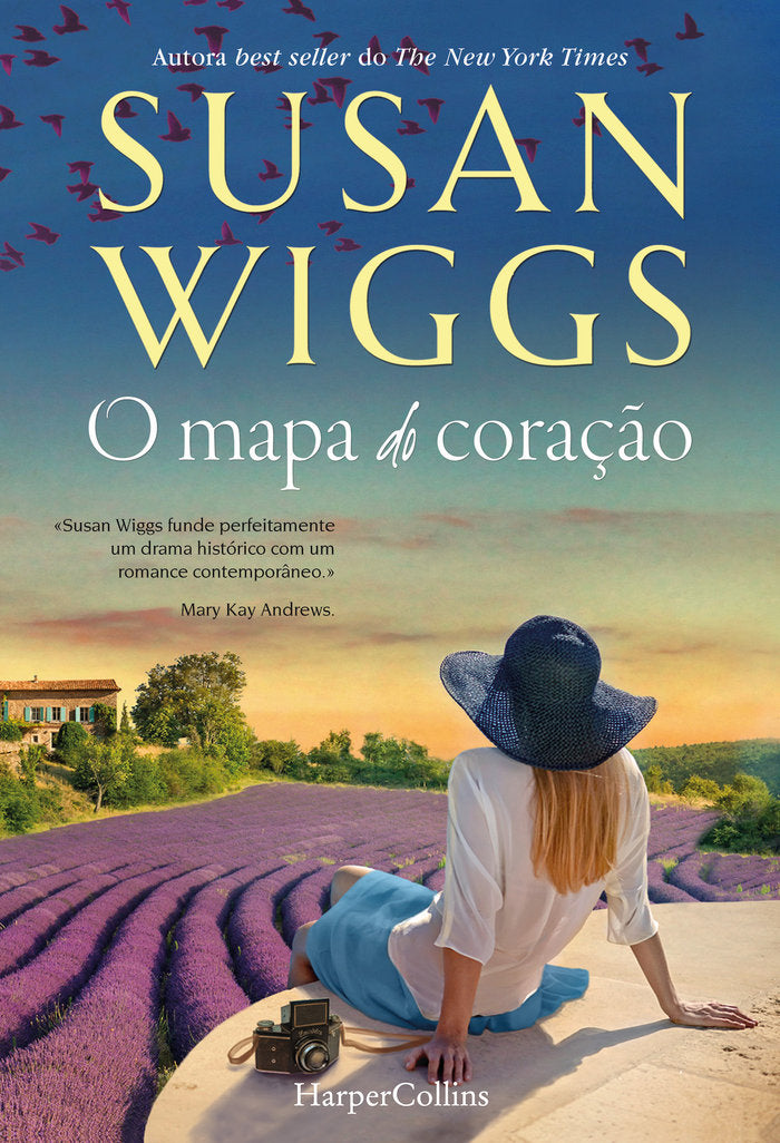 O MAPA DO CORAÇÃO, de WIGGS, SUSAN | portada del libro