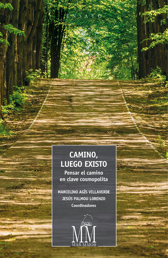 Camino, luego existo, de Varios autores | portada del libro