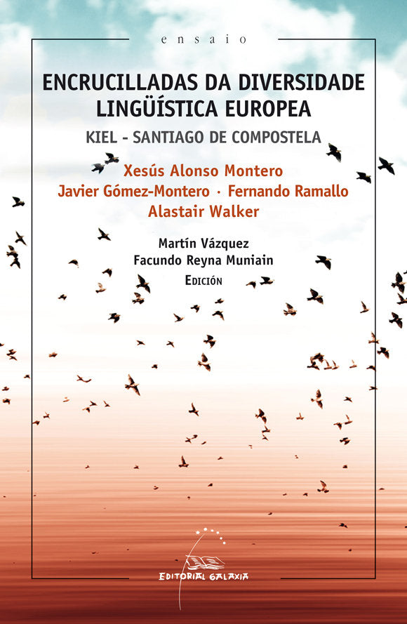 ENCRUCILLADAS DA DIVERSIDADE LINGüíSTICA EUROPEA. KIEL - SANTIAGO DE COMPOSTELA, de VARIOS AUTORES | portada del libro