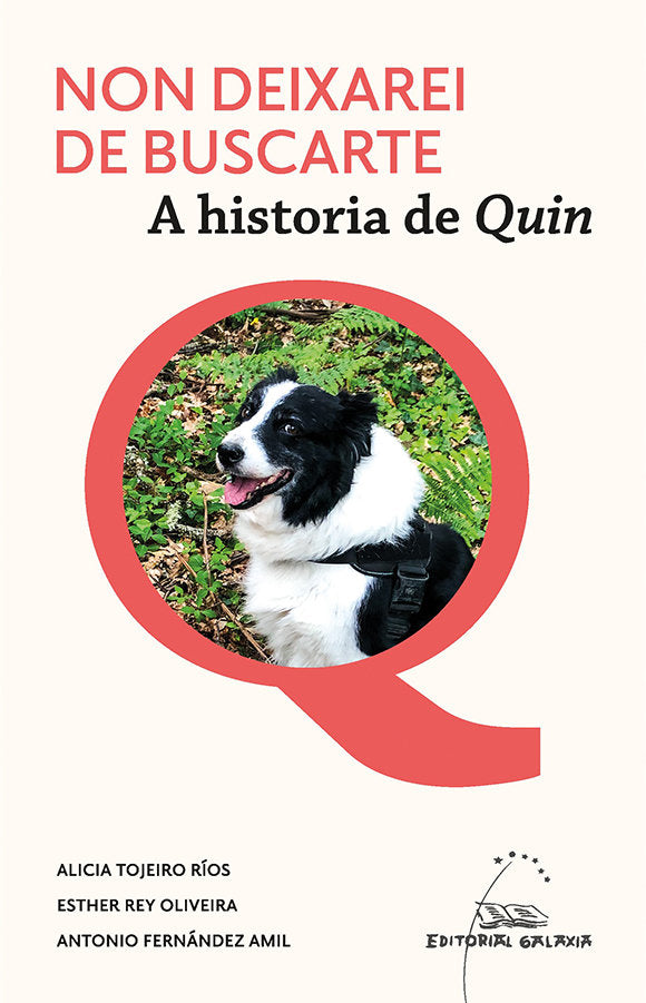 Non deixarei de buscarte. A historia de Quin, de VARIOS AUTORES | portada del libro