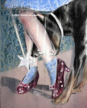 COLIBRI. PUNTOS DE SUTURA, de PUCHE, JOSE LUIS | portada del libro