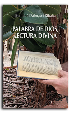 PALABRA DE DIOS LECTURA DIVINA, de DALMAU I RIBALTA,BERNABE | portada del libro