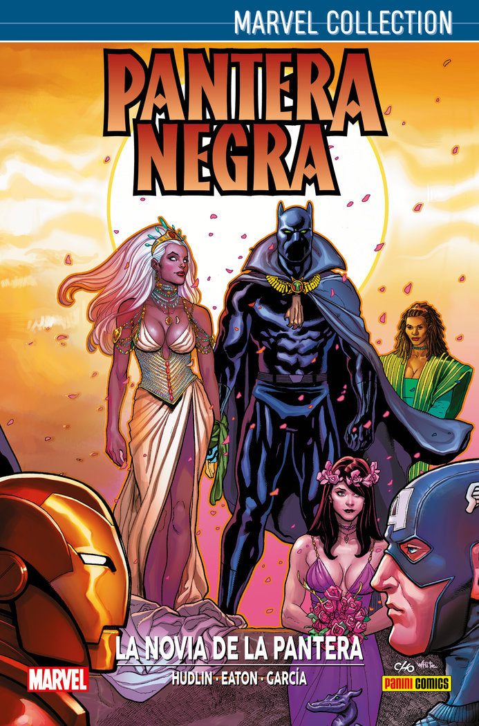 PANTERA NEGRA, de HUDLIN, REGINALD | portada del libro