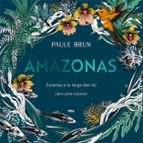 AMAZONAS. ESCENAS A LO LARGO DEL RÍO., de PAULE BRUN | portada del libro