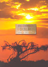 Suem, de Pàmies | portada del libro