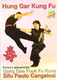 Hung Gar-Kung Fu, de PRAT BANUS, JOSE M. | portada del libro