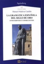 LA GRAMÁTICA ESPAÑOLA DEL SIGLO DE ORO, de Manuel Peñalver Castillo | portada del libro