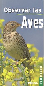 Observar las aves, de Darmangeat, Pierre | portada del libro