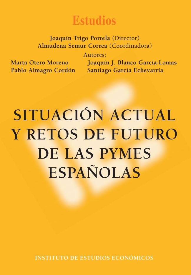 SITUACION ACTUAL Y RETOS DE FUTURO DE LAS PYMES ESPAÑOLAS, de OTERO MORENO, MARTA | portada del libro