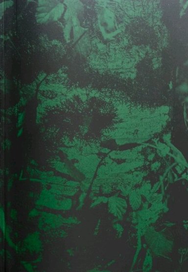 Irene Grau, de CALVO ULLOA, ANGEL | portada del libro