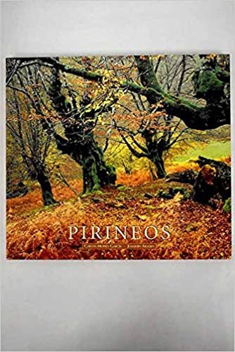 PIRINEOS, de ARAUJO PONCIANO | portada del libro