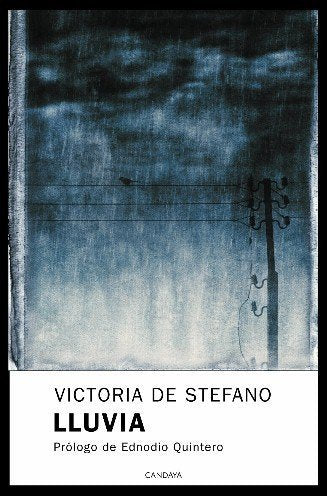 LLUVIA, de STEFANO,VICTORIA DE | portada del libro