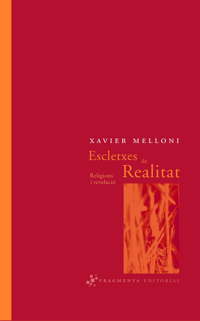 Escletxes de Realitat, de Melloni Ribas, Xavier | portada del libro