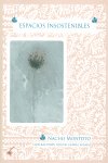 Mi memoria es un tobogán , Espacios insostenibles, de Nacho Montoto | portada del libro