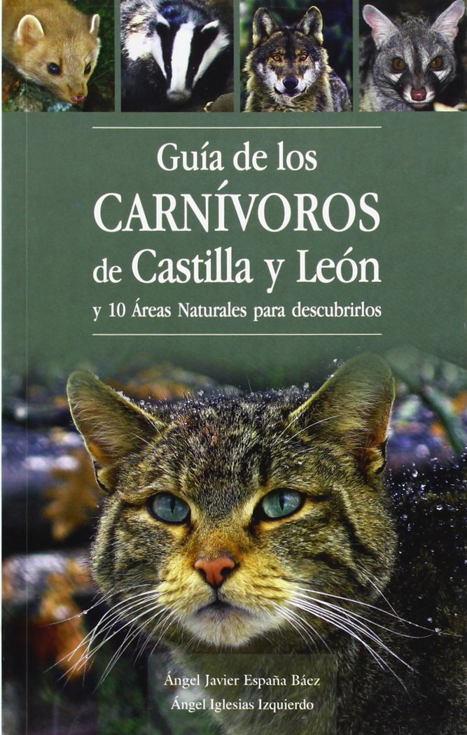GU-A DE LOS CARNIVOROS DE CASTILLA Y LEON, de VV.AA. | portada del libro