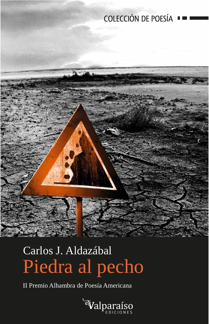 Piedra al pecho, de Aldazábal, Carlos J. | portada del libro