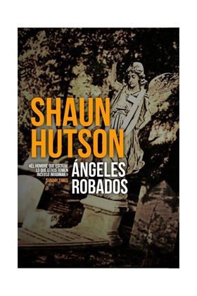 Ángeles robados, de Shaun Hutson | portada del libro