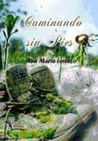 Caminando sin pies, de Ana María Lorenzo Gracia | portada del libro