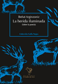 LA HERIDA ILUMINADA, de ARGINZONIZ, BEÑAT | portada del libro