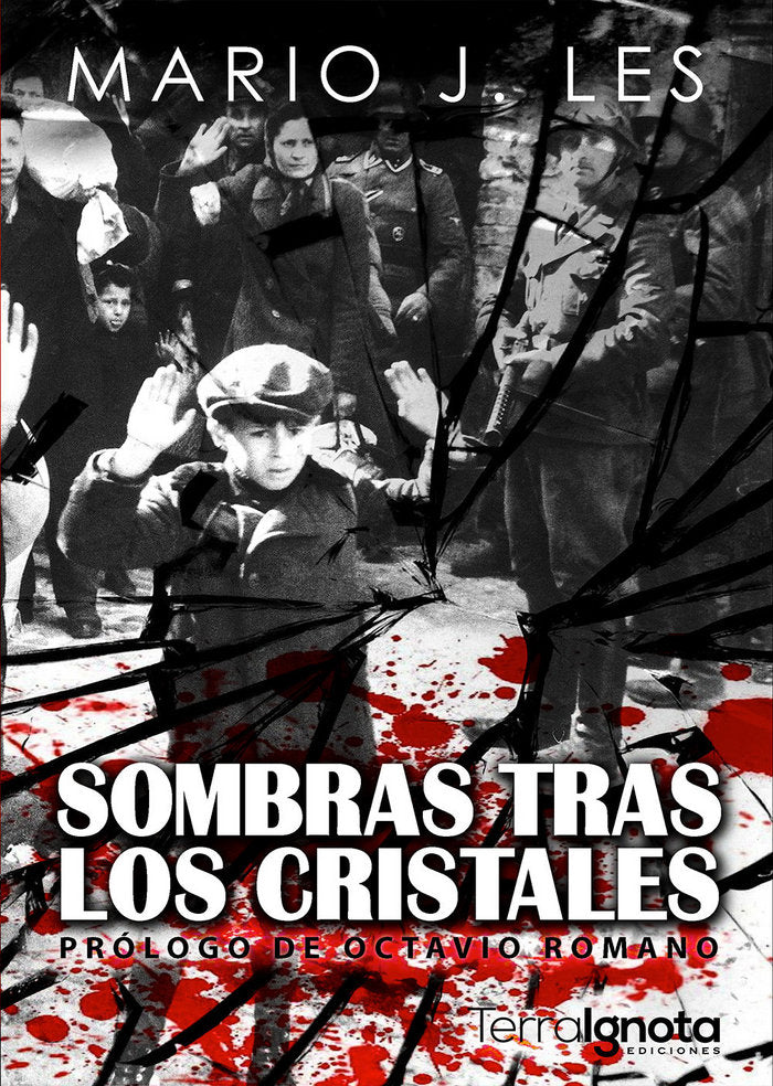 Sombras tras los cristales, de Jiménez Les, Mario | portada del libro