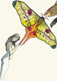 LIBRETA EVA Y LAS MARIPOSAS, de MIGUEL CARINI CAPALBO | portada del libro