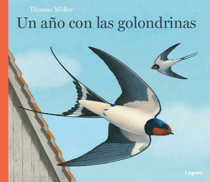 Un año con las golondrinas, de Müller, Thomas | portada del libro