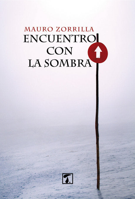 Encuentro con la sombra, de Zorrilla Hierro | portada del libro