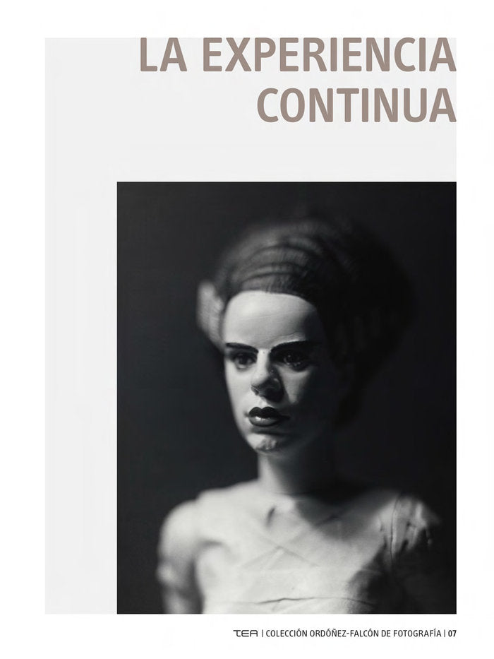 LA EXPERIENCIA CONTINUA, de Autores, Varios | portada del libro